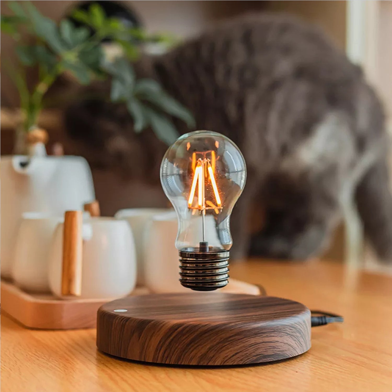 Floating Light Bulb Lamp
